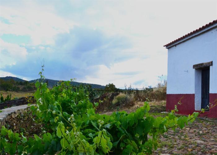 Casa Rural El Abuelo Alonso La Codosera Bagian luar foto